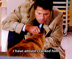 castiel-cat-12302015